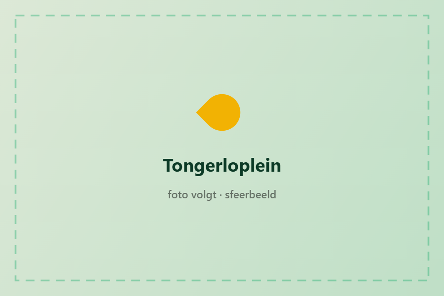 Het Tongerloplein in het centrum van Roosendaal